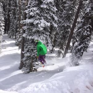 Meet your Posher, Casey